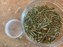 新貨正宗 干松針茶葉罐裝干貨全松茶紅松馬尾松針茶泡水泡茶500g 【1罐】松針（共250g） 曬單實(shí)拍圖
