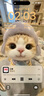iPhone 14 ProMax【24期免息】蘋果14promax 國行5G蘋果 二手手機(jī) 深空黑色 {評(píng)價(jià)有禮} 【99新】256G【性能/性價(jià)比推薦】3期免息 三年老店+五星店鋪+一年質(zhì)保 曬單實(shí)拍圖