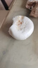 思念奶香小饅頭早餐半成品學(xué)生兒童營養(yǎng)方便花卷速凍面點冷凍食品 思念奶黃包1500g（約50個） 曬單實拍圖