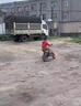 宙顆小孩摩托車6-12歲汽油越野迷你兒童49CC純?nèi)加桶嫠臎_程92山地 兩沖高配藍色+混合油拉繩啟動 曬單實拍圖
