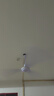 鉆石牌吊扇電風(fēng)扇家用客廳1.4米56吋樓頂扇工業(yè)大風(fēng)力吸頂電風(fēng)扇DS56-11I 曬單實(shí)拍圖
