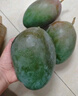 京鮮生 攀枝花凱特芒 凈重8.5斤 帶箱9斤 單果600g+ 生鮮水果 源頭直發(fā) 曬單實拍圖