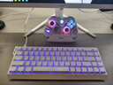aolion澳加獅K20無線游戲手柄DW12C支持Steam/switch2手機明末淵虛之羽游戲手柄 K20 TMR版游戲手柄·EVA白紅 澳加獅 曬單實拍圖