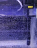 寵街坊小魚缸一體缸自循環(huán)水族箱桌面客廳小型送禮生態(tài)魚缸造景240 曬單實拍圖