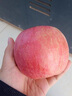 煙臺蘋果水果棲霞紅富士新鮮生鮮果山東特產(chǎn)脆甜 精品果 凈重4.5斤（果徑80mm以上） 曬單實拍圖