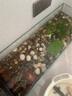 寵小島溪流缸2025新款魚(yú)缸制氧一體式懶人生態(tài)造景側(cè)濾溪流缸 溪流缸80x25x25【標(biāo)配增氧過(guò)濾】贈(zèng)溪流石 曬單實(shí)拍圖