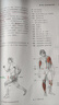 【新華正版】基礎肌動(dòng)學(xué):第4版 解剖列車(chē):第4版 運動(dòng)中的解剖列車(chē) 身體解讀 圖譜肌動(dòng)力學(xué) 筋膜解剖書(shū) 醫學(xué)書(shū)籍 北京科學(xué)技術(shù)出版社 基礎肌動(dòng)學(xué):第4版 曬單實(shí)拍圖