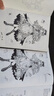 黑白線描手繪插畫設(shè)計(jì)教程 童話心世界 唯美線稿插畫實(shí)例教程線描畫冊臨摹手繪繪畫書籍手繪入門插畫集 曬單實(shí)拍圖