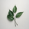 正泰（CHNT）開關(guān)插座6C 奶油風(fēng)大板 家用86型帶USB斜五孔暗裝插座面板 幻銀 【優(yōu)先發(fā)貨】斜五孔10只裝 曬單實(shí)拍圖