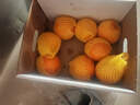 新奇士（Sunkist）澳大利亞藍(lán)標(biāo)早臍橙橙子 大果 8斤禮盒裝 單果220g+ 新鮮水果禮盒 曬單實(shí)拍圖