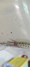 黑魚(yú)苗淡水養殖食用生魚(yú)苗特大好養耐活兇猛冷水觀(guān)賞魚(yú)烏鱧小財魚(yú)苗烏魚(yú)苗批發(fā) 優(yōu)質(zhì)黑魚(yú)苗 5條6-8厘米 曬單實(shí)拍圖