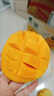 鄉(xiāng)果繽紛廣西芒果小臺(tái)農(nóng)芒果當(dāng)季新鮮百色芒果爆甜大果整箱批發(fā)產(chǎn)地直發(fā) 凈重4.5斤大果【單果100g以上】 曬單實(shí)拍圖