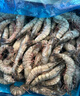 Member's Mark 泰國進(jìn)口 生冷凍黑虎蝦 2kg (約31-40只/每千克) 2kg(凈重) 曬單實(shí)拍圖