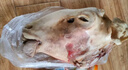 肉帝道古法火燎去毛山羊頭內(nèi)蒙古正規(guī)屠宰新鮮冷凍真空整個山羊頭 生羊頭4.5-5斤 一只整個【送料包】 曬單實拍圖