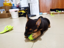 HELLOJOY狗狗玩具 耐咬磨牙棉繩球套裝寵物幼犬小狗玩具自己玩解悶5件套 曬單實(shí)拍圖