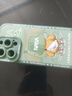 奶小鴨（NEYAA）適用蘋果16pro手機殼 iphone16pro保護套鏡頭全包硅膠防摔超薄創(chuàng)意卡通簡約網(wǎng)紅軟殼男女款 蒼嶺綠 曬單實拍圖