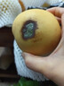 正宗河北皇冠梨 產(chǎn)地直發(fā) 現(xiàn)摘現(xiàn)發(fā) 脆甜多汁梨子整箱新鮮水果 皇冠梨凈重8.5斤 曬單實(shí)拍圖