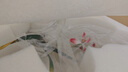 南初先生君子蘭花銅擺件工藝品高端大氣客廳玄關(guān)辦公室擺件開(kāi)業(yè)喬遷禮物 曬單實(shí)拍圖