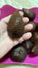 優(yōu)味集印尼蛇皮果【JD順豐】進(jìn)口水果熱帶新鮮沙叻記憶之果孕婦年貨生鮮 500g凈重裝（產(chǎn)地金果） 商超A+級(jí)金果 曬單實(shí)拍圖