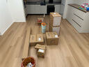 美添樂（HoMettler）凈污分離平板拖把36cm3拖布桿長135cm家用一拖凈免手洗2025帶桶 曬單實拍圖