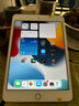 Apple 蘋果 iPad Mini 2/3/4/5/6/7代 2022/2021款 二手平板電腦 iPad mini4 曬單實(shí)拍圖