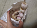 京喜自營大蒜頭紫白皮大蒜京東買菜生鮮調(diào)料即食涼拌大蒜 【優(yōu)選】凈重 1斤 單果3.5-5cm 曬單實(shí)拍圖