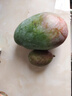 【新鮮上市】正宗攀枝花凱特芒果新鮮水果 帶箱2斤200g+ 曬單實(shí)拍圖