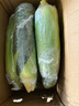 京鮮生云南水果玉米5斤 鮮甜玉米棒 甜脆多汁 新鮮蔬菜 源頭直發(fā)包郵 曬單實(shí)拍圖