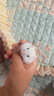 曇蓓漫倉鼠羊奶粉蜜袋鼯金絲熊兔子幼崽無乳糖糧食小寵沖泡營養(yǎng)零食用品 小寵羊奶粉【1瓶50g送喂養(yǎng)工具】 【高蛋白 奶香濃郁 粉質(zhì)細膩】 曬單實拍圖