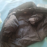 波司登25年羽絨服女面包服親子款寬松保暖加厚外套 曬單實(shí)拍圖