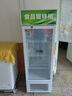 揚(yáng)子立式冷藏保鮮幼兒園展示柜食品留樣帶鎖餐廳冰箱商用食堂展示 白50*53*153cm 單鎖款 曬單實(shí)拍圖