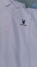 花花公子【2件裝】男士純棉POLO衫短袖翻領(lǐng)T恤2025新款夏季上衣服冰絲半袖 淺蘭+白色 兩件裝花花公子正品20 2XL 推薦體重140-155斤 曬單實拍圖