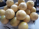 顧果鮮廣西欽蜜9號(hào)黃金百香果香甜多汁酸甜可口果香產(chǎn)地直采新鮮水果 5斤 精選裝【約5-7個(gè)/斤】 曬單實(shí)拍圖