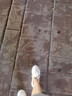 anta kids安踏踏女款羽毛球鞋夏季超輕女鞋減震碳板運(yùn)動(dòng)跑步學(xué)生防滑乒冬 白粉款 35 曬單實(shí)拍圖