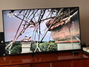 索尼（SONY）電視5系 K-55XR50 55英寸4K MiniLED 超高清家用智能網(wǎng)絡液晶游戲平板電視機二級能效以舊換新浙江 55英寸 K-55XR50 曬單實拍圖