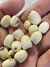 伊梵麥新鮮蓮子干貨磨皮中藥材正品蓮子芡實(shí)山藥茯苓搭百合 白蓮子2罐共500g 曬單實(shí)拍圖