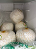 京鮮生泰國進(jìn)口椰青椰子 9個(gè)裝 大果單果900g+ 水果 源頭直發(fā)包郵  曬單實(shí)拍圖