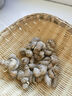 鮮以?xún)?yōu)廣東沙姜新鮮正宗沙姜山奈老姜土特產(chǎn)食用椰子雞蘸料調(diào)味配料做種 茂名沙姜 1斤 【家庭裝】 曬單實(shí)拍圖