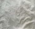 浪莎安全褲女防走光免穿內褲小熊高級感無痕純棉襠夏季薄款平角內褲頭 曬單實拍圖