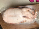 科迪爾 水庫散養農家老鴨子 5.5-6斤/只生鮮土鴨批發(fā)鴨肉食材冷凍 4年散養老鴨【凈重5.5-6斤】 1只 曬單實(shí)拍圖