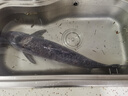 富源百川318二代鰱鳙釣魚竿湖庫輕量大物桿巨物魚竿8.1m 曬單實(shí)拍圖