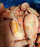 朵芙【頭籽北極蝦】4斤北極甜蝦 熟凍冰蝦元寶蝦腹籽甜蝦生鮮蝦類(lèi)禮盒 禮盒90-120精挑高頭籽 4斤(凈重) 曬單實(shí)拍圖