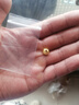 YINXIANGRONG黃金銅錢(qián)珠轉運珠金錢(qián)珠3D硬金串珠足金999金珠DIY手串配件路路通 8mm銅錢(qián)珠約0.3g支持多退少補 曬單實(shí)拍圖