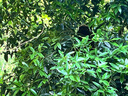 汰漬潔凈透亮洗衣粉茉莉香10斤大袋批發(fā)非皂粉持久留香深層去污家庭裝 曬單實(shí)拍圖