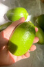 【重慶萬(wàn)州青檸檬】新鮮青檸檬當季水果奶茶店源頭直發(fā) 【60g-80g】3斤 曬單實(shí)拍圖