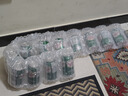 加拿大（CANADA DRY） Canada dry Ginger Ale姜汁汽水干姜水生姜水雞尾酒 12罐裝(保質(zhì)期2026-1月) 曬單實(shí)拍圖