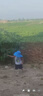 兒童遮陽(yáng)帽男女童防紫外線(xiàn)夏季防曬帽大帽檐新款薄款透氣漁夫帽 寶石藍【小恐龍】 2-10歲帽圍48-54cm可調節 曬單實(shí)拍圖