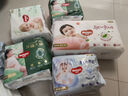 好奇（Huggies）軟萌星人柯基拉拉褲拉拉褲嬰兒尿不濕XXXL24(17kg以上)嬰兒尿不濕 曬單實拍圖