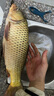 漁之源打窩勺遠(yuǎn)投料拋餌勺釣魚配件漁具垂釣用品80cm單桿空心勺頭 曬單實(shí)拍圖
