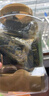 美好時(shí)光原味海苔75g(100包*3片) 壽司韓式包飯 即食紫菜 兒童休閑零食 曬單實(shí)拍圖